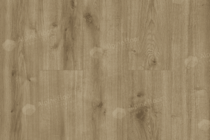 Дуб Кольмар