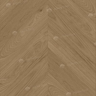 Изображение Дуб Миндальный