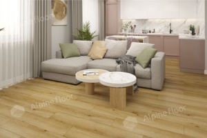 Дуб Ливорно