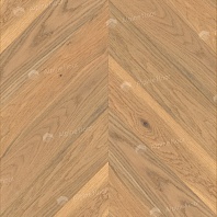 Изображение Дуб Амаретти