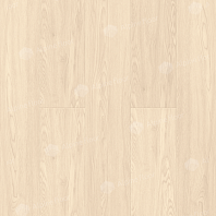 Изображение Ясень Макао