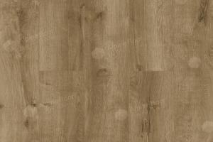 Дуб Бирмингем