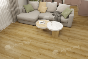 Дуб Ливорно